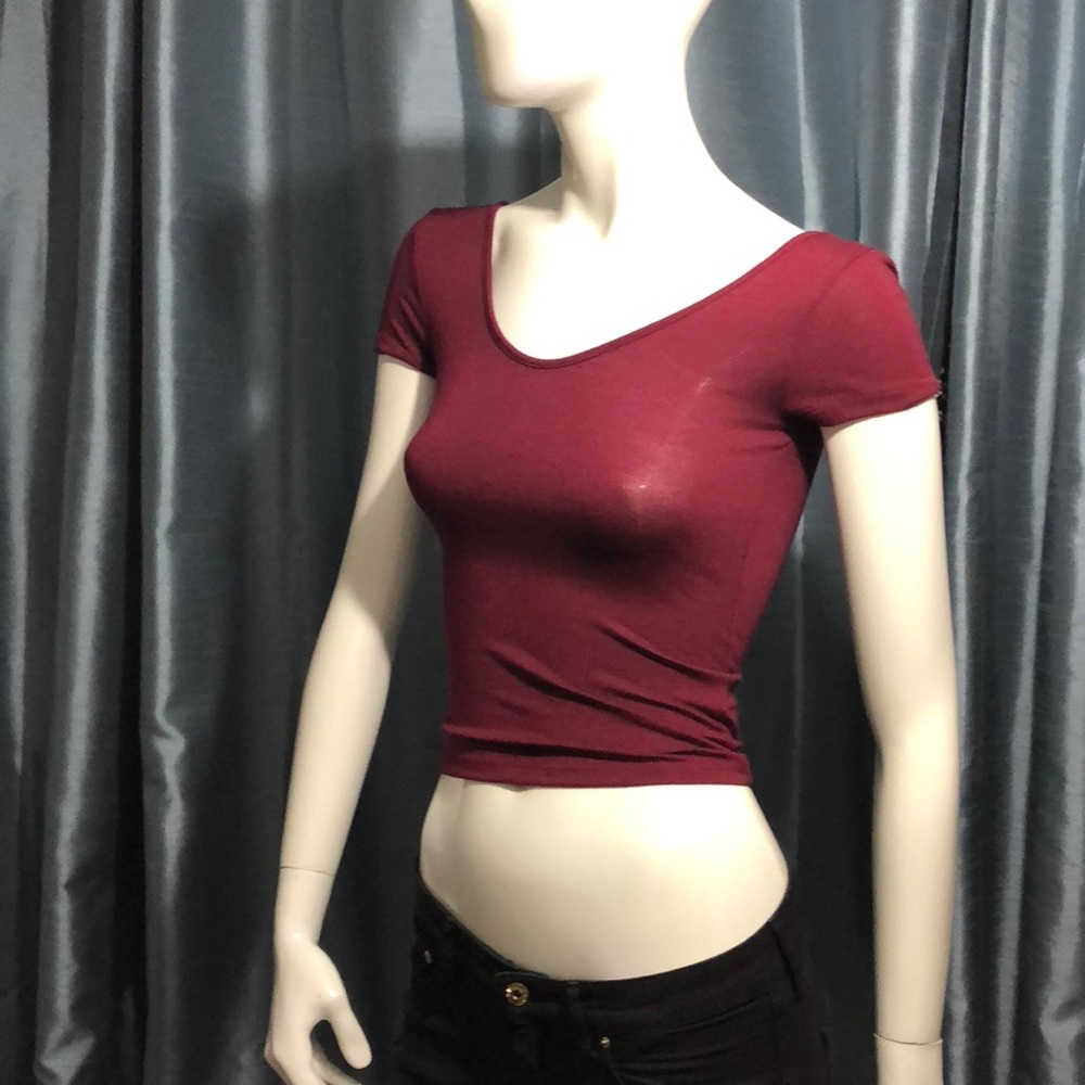 Express One Eleven crop top